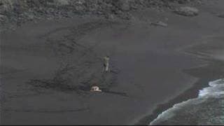 Tres En Playa - Sergio Candel - Cortos La Palma Rueda 2007