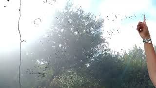 Eyv - «««sample6789»»»