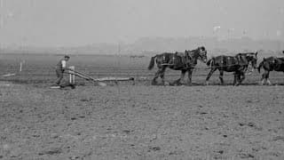Sons of the Soil (1915)
