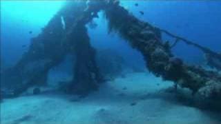 Dolphins In The Deep Blue Ocean (Trailer)