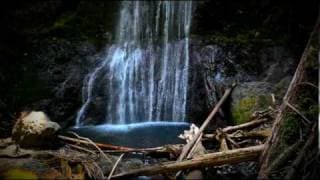 Twilight In Forks - Extended Trailer