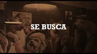 Se Busca / Wanted