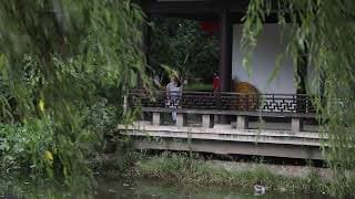 Trailer | A Terrible Beauty | Iram Ghufran