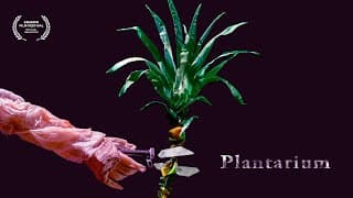 PLANTARIUM, dir. Tomek Ducki - trailer