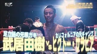 11月23日 K-1 WORLD GP 2017 JAPAN ～初代ヘビー級王座決定トーナメント～ TV-CM3