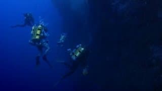 A voyage of discovery | Pacific Abyss | BBC