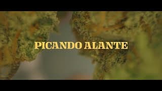 Picando Alante Trailer Oficial