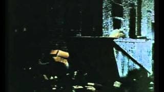 Wild Thing - Trailer