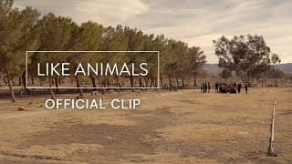 Like Animals | Official Clip