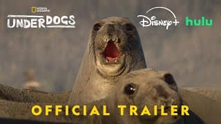Official Trailer