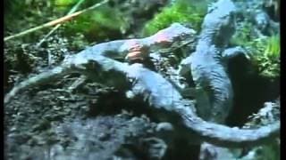The Ray Bradbury Theater - S04E06 - A Sound Of Thunder (Aired 8-11-89)
