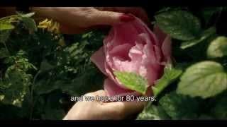 Garden Lovers trailer