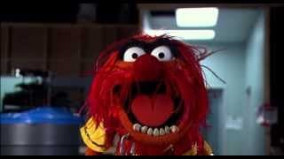 Official Teaser Trailer | Muppets Most Wanted | The Muppets