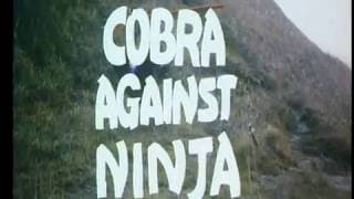 COBRA AGAINST NINJA