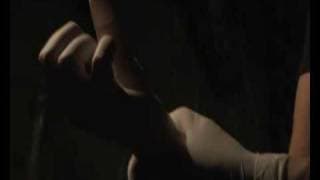 SYMPHONY IN BLOOD RED - COME UNA CRISALIDE (international trailer)