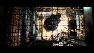 Official International Trailer