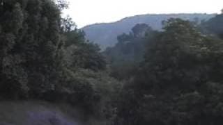 David Lynch Dot Com (sunset)