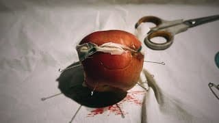 Apple Boy - Stop Motion Short Film Demo