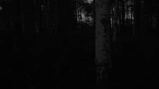 It - fragment