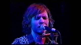 Beck @ the Wiltern Theater, Los Angeles, 1999 May 8
