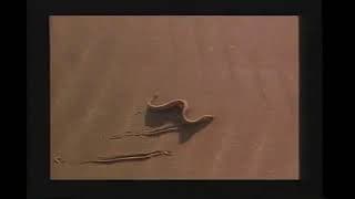 Missing Link 1988 Trailer