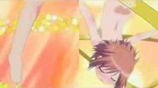 Moetan Transformaciones