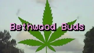 Bethwood Buds