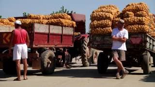 Varză, cartofi şi alți demoni (Documentar)