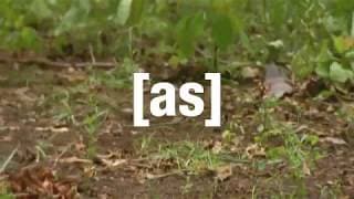 Adult Swim Promos - Off The Air