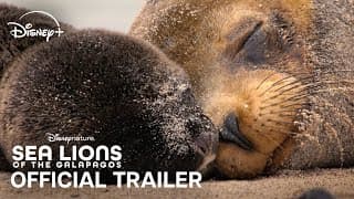 Official Trailer