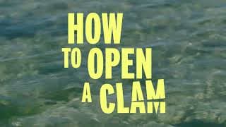 "How To Open A Clam" short film trailer
