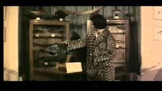 Julia y el celacanto (1961)