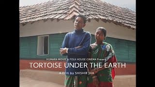 TORTOISE UNDER THE EARTH