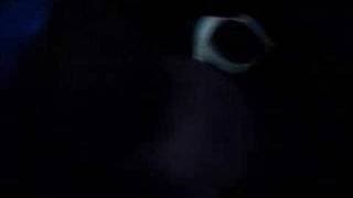Popsy - Trailer