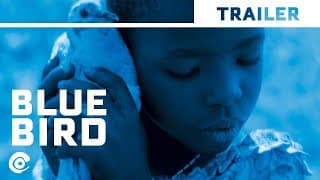 Official International Trailer