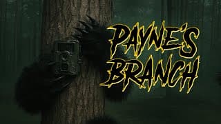 Payne’s Branch | Official Trailer (2025)