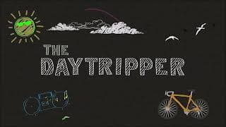 What is The Daytripper?
