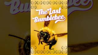 The Last Bumblebee Trailer