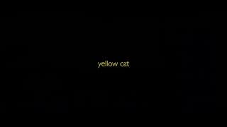 #BIFF2020 A Window on Asian Cinema - Yellow Cat / 아시아 영화의 창 - 노랑 고양이