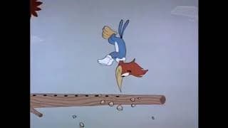 The Woody Woodpecker show 1960-1969