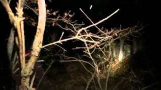 R51   Found Footage Trailer