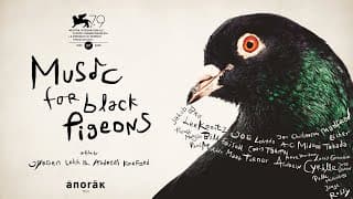 Music for Black Pigeons - International Trailer