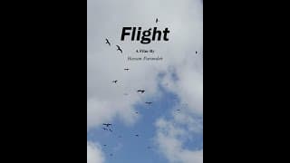 FLIGHT