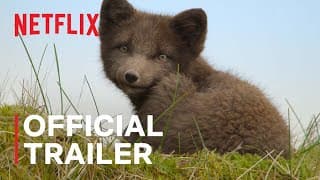 Wild Babies | Official Trailer | Netflix