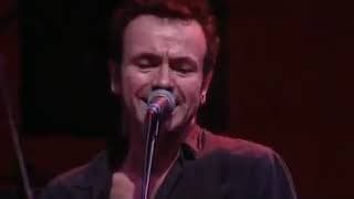 The Stranglers: live at Ally Pally - London (1990)