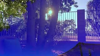 Ruminative Meditations