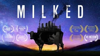 MILKED // Official trailer