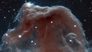 THE CALL OF THE COSMOS - Illustra Media - Official Trailer