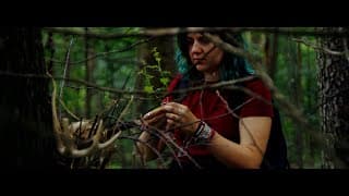 Trailer - Through The Trees