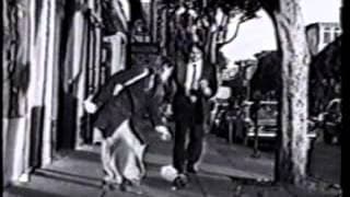 "The Man Who Loved Flowers" - Movie